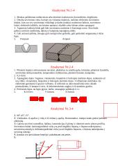 Elektros lanko uždegimas, jo palaikymas, siūlės formavimas 4 puslapis
