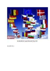 Išplėstinis pamokos planas: Lietuvos valstybės ir tautinė vėliava 11 puslapis