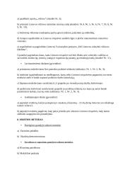 Išplėstinis pamokos planas: Lietuvos valstybės ir tautinė vėliava 3 puslapis