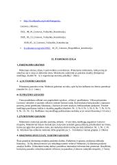 Išplėstinis pamokos planas: Lietuvos valstybės ir tautinė vėliava 5 puslapis