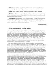 Išplėstinis pamokos planas: Lietuvos valstybės ir tautinė vėliava 7 puslapis