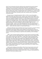 Išplėstinis pamokos planas: Lietuvos valstybės ir tautinė vėliava 8 puslapis