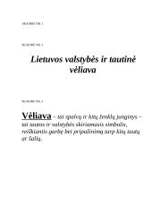 Išplėstinis pamokos planas: Lietuvos valstybės ir tautinė vėliava 10 puslapis