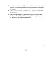 Tapybos darbas ,,Realybė po kauke'' 14 puslapis