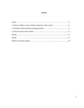 Tapybos darbas ,,Realybė po kauke'' 3 puslapis