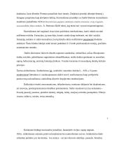 Tapybos darbas ,,Realybė po kauke'' 7 puslapis