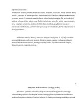 Tapybos darbas ,,Realybė po kauke'' 8 puslapis