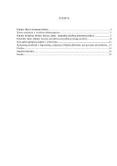 Grafikos kūrinys „Stovi pasakų namelis“  3 puslapis