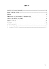 Darbo „Iliuzija„ aprašas 2 puslapis