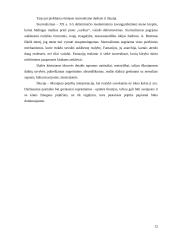 Darbo „Iliuzija„ aprašas 11 puslapis