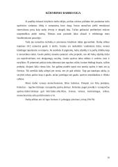 Darbo „Iliuzija„ aprašas 15 puslapis