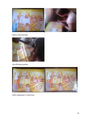 Darbo „Iliuzija„ aprašas 17 puslapis