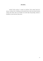 Darbo „Iliuzija„ aprašas 18 puslapis