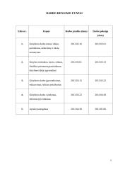 Darbo „Iliuzija„ aprašas 4 puslapis