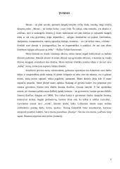 Darbo „Iliuzija„ aprašas 5 puslapis