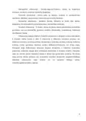 Darbo „Iliuzija„ aprašas 7 puslapis