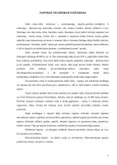 Darbo „Iliuzija„ aprašas 8 puslapis