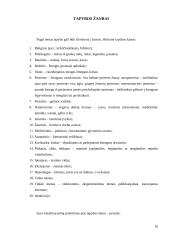 Darbo „Iliuzija„ aprašas 9 puslapis