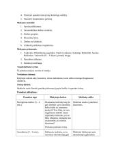 Išplėstinis pamokos planas: Žodžio ir spaudos laisvė 2 puslapis