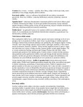 Išplėstinis pamokos planas: Žodžio ir spaudos laisvė 4 puslapis