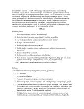 Išplėstinis pamokos planas: Žodžio ir spaudos laisvė 5 puslapis