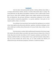 Dailės egzaminas, jo aprašas 2 puslapis