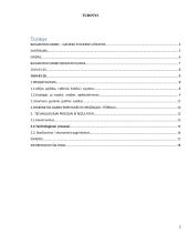 Dailės egzamino aprašas: apyrankės 2 puslapis