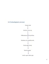 Dailės egzamino aprašas: apyrankės 15 puslapis