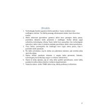 Dailės egzamino aprašas: apyrankės 17 puslapis