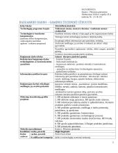 Dailės egzamino aprašas: apyrankės 3 puslapis