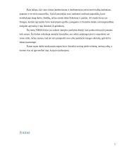 Dailės egzamino aprašas: apyrankės 5 puslapis