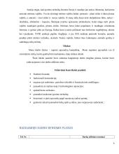 Dailės egzamino aprašas: apyrankės 6 puslapis