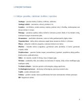 Dailės egzamino aprašas: apyrankės 8 puslapis