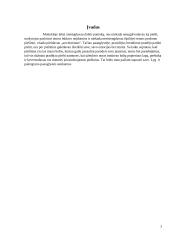 Dailės egzamino aprašas 2 puslapis