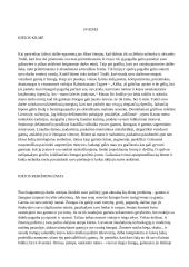 Dailės egzamino aprašas: grafika 2 puslapis