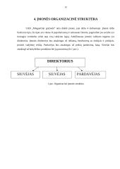 Uždarosios akcinės bendrovės „Miegančioji gražuolė“ verslo planas 12 puslapis