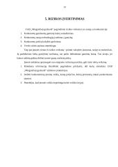 Uždarosios akcinės bendrovės „Miegančioji gražuolė“ verslo planas 13 puslapis