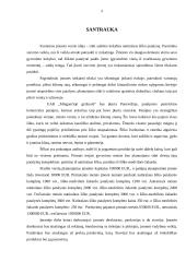 Uždarosios akcinės bendrovės „Miegančioji gražuolė“ verslo planas 4 puslapis