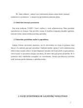 Karjeros planas 2 puslapis