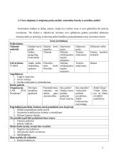 Karjeros planas 3 puslapis