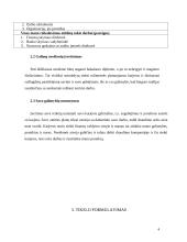 Karjeros planas 4 puslapis