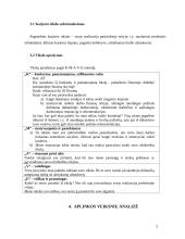 Karjeros planas 5 puslapis