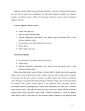 Karjeros planas 6 puslapis