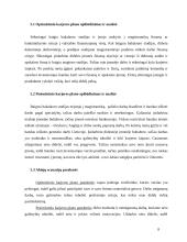 Karjeros planas 8 puslapis