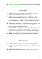 Klasės tėvų susirinkimo planas 4 puslapis