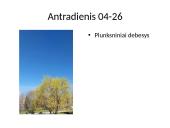 Debesų stebėjimas 3 puslapis