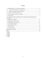 AB „Vilkyškių pieninė” atsargų auditas 2 puslapis