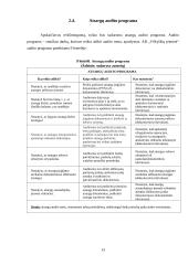 AB „Vilkyškių pieninė” atsargų auditas 13 puslapis