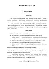 AB „Vilkyškių pieninė” atsargų auditas 14 puslapis