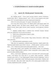 AB „Vilkyškių pieninė” atsargų auditas 3 puslapis